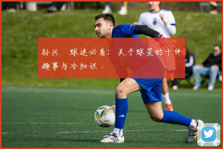 孙兴慜球迷必看：关于球星的十件趣事与冷知识