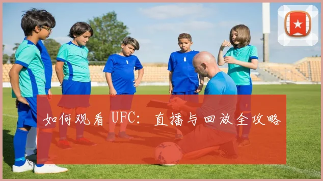 如何观看 UFC：直播与回放全攻略