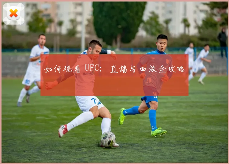 如何观看 UFC：直播与回放全攻略