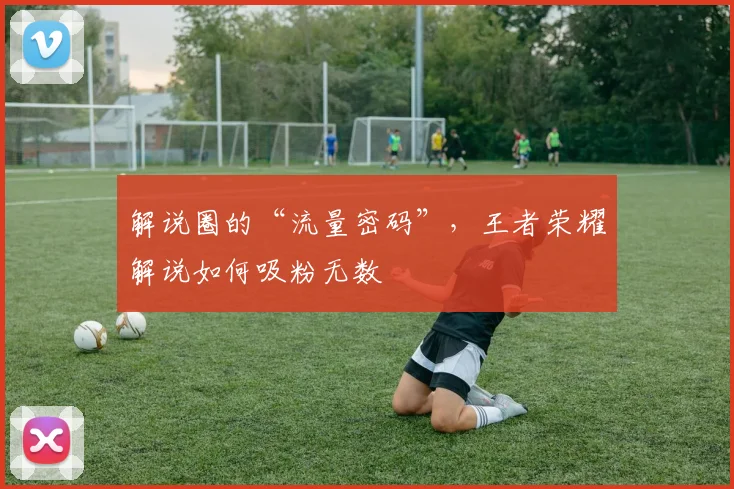 解说圈的“流量密码”，王者荣耀解说如何吸粉无数