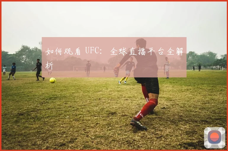 如何观看 UFC：全球直播平台全解析
